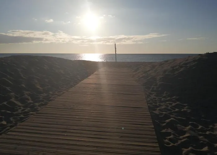 Les Capitelles A Cyprien Avec Acces Direct Plage- Balcon Donnant Splendide Vue Et Piscine סן סיפריאן